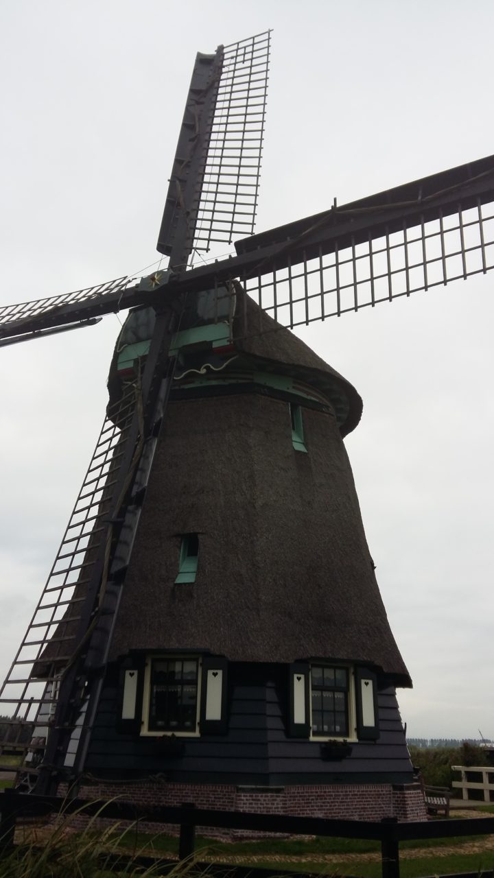 Rondje Schermerhorn (18km)